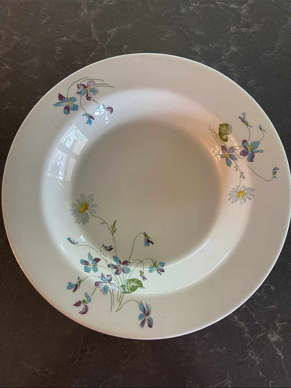 Syracuse Violets and Daisies Chicago Burlington and Quincy 9” Rimmed Soup Plate